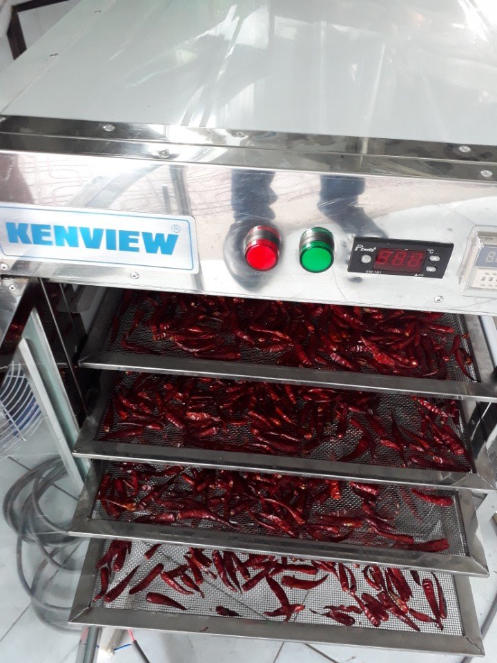 Sấy ớt khô bằng máy sấy thực phẩm kenview