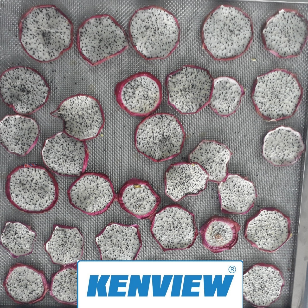 Cung cấp máy sấy trái cây kenview – Phan Rang