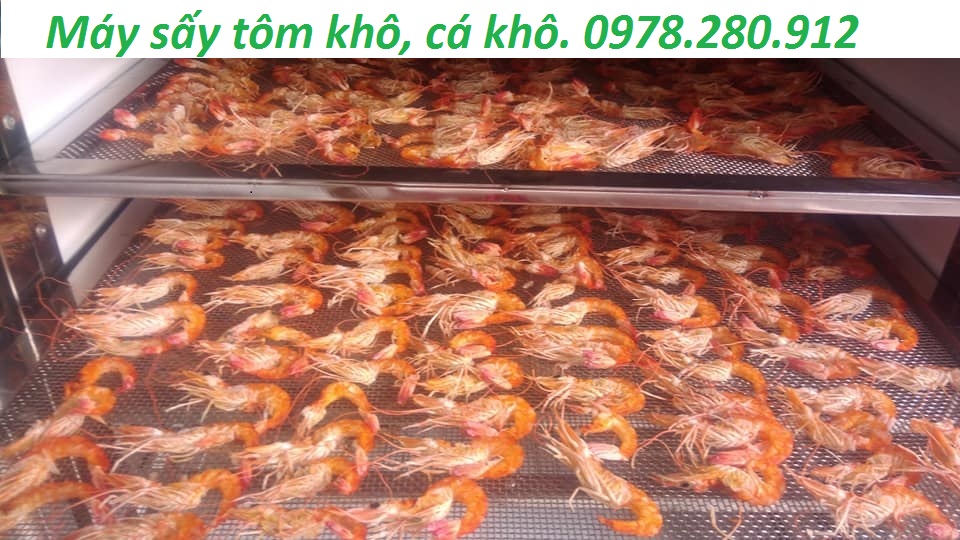 Cung cấp máy sấy hải sản-sấy tôm khô, cá khô tại Quảng Ninh.0978.280.912