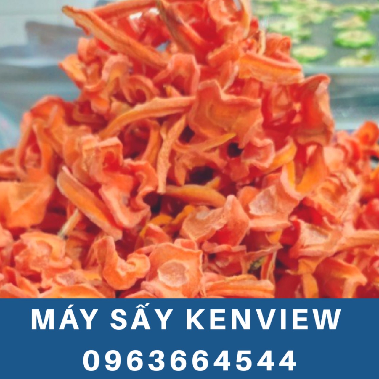 Kenview cung cấp máy sấy rau, củ, quả ở Lâm Đồng - Máy sấy thực phẩm