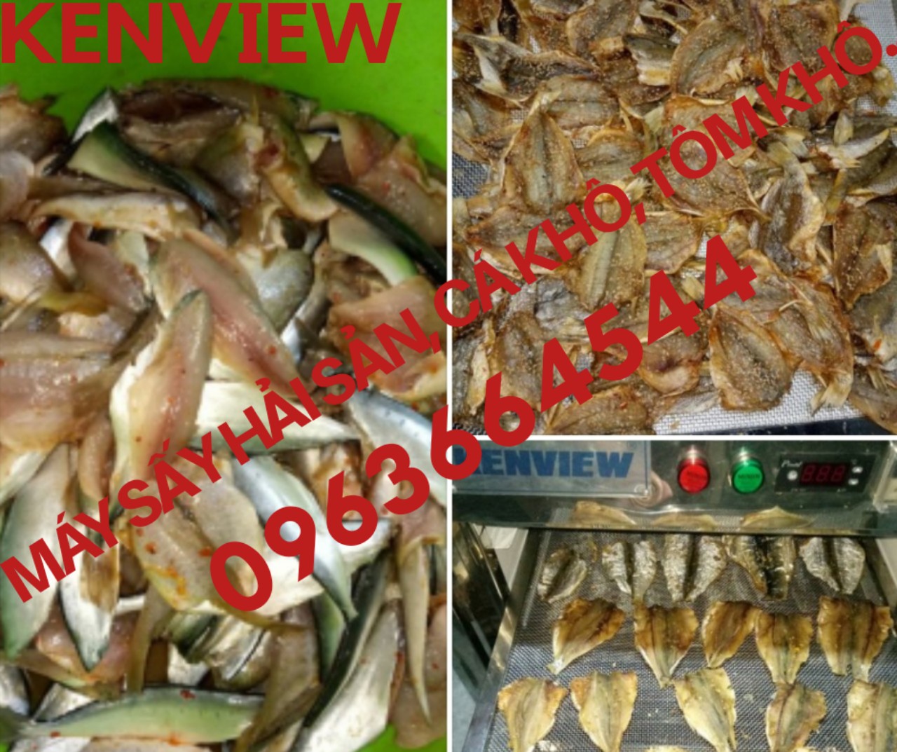 Máy sấy cá khô giá rẻ, máy sấy hải sản khô 0963664544