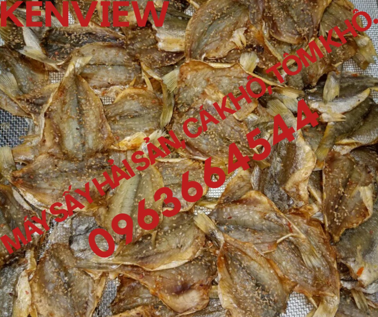 Máy sấy cá khô giá rẻ, máy sấy hải sản khô 0963664544