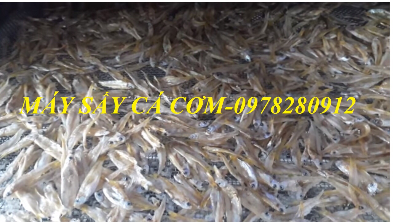 Cung cấp máy sấy cá khô tại Đà Nẵng. 0978280912.