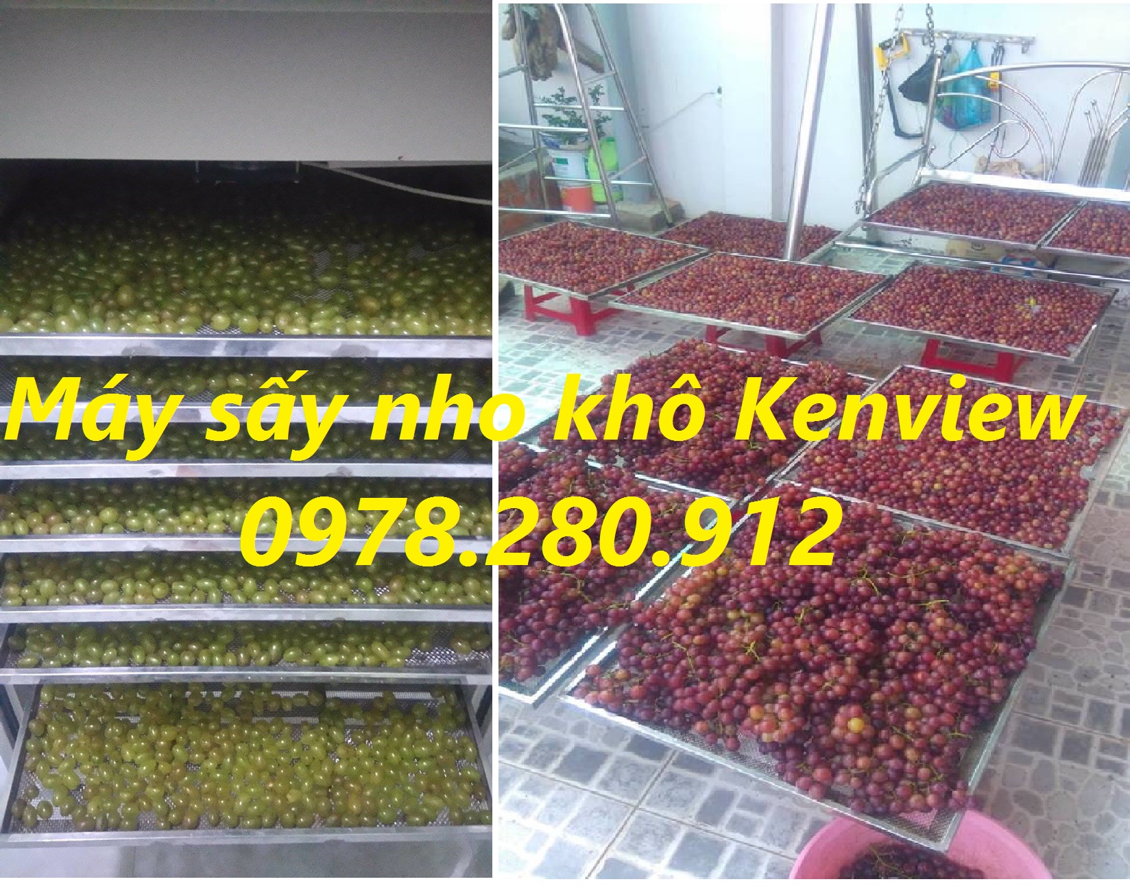 Cung cấp máy sấy trái cây : sấy nho, sấy táo tại Ninh Thuận.0978280912.