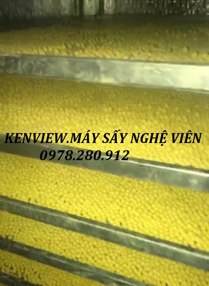Máy sấy tinh bột nghệ giá rẻ, máy sấy nghệ viên KENVIEW.0978.280.912
