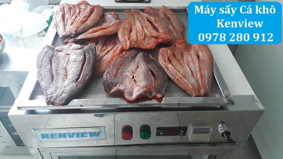 Máy sấy hải sản chuyên nghiệp Kenview-Máy sấy cá khô tại Đồng Nai.