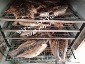 Máy sấy hải sản chuyên nghiệp Kenview-Máy sấy cá khô tại Đồng Nai.