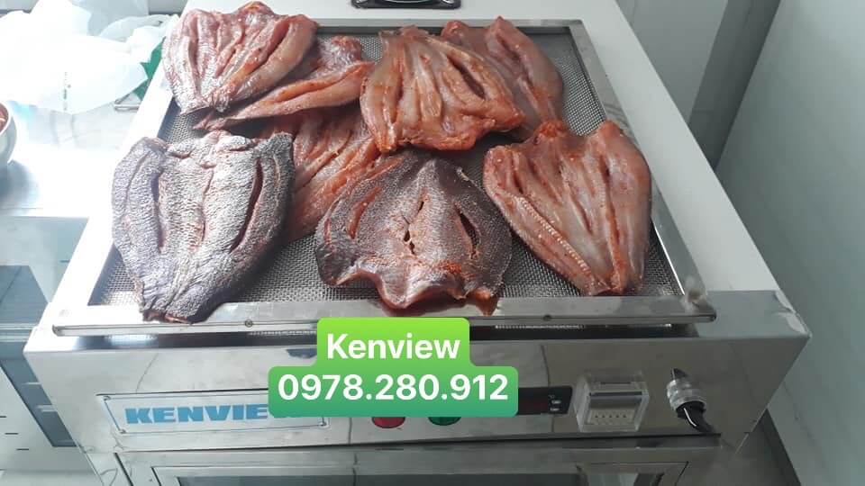 Máy sấy hải sản sấy cá khô tôm khô Bình Phước