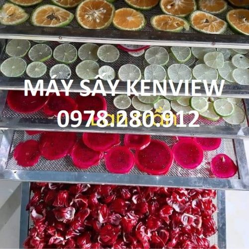 Kenview cung cấp máy sấy hoa quả tại Bảo Lộc-Lâm Đồng-0978.280.912