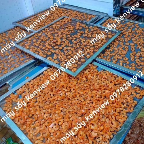 Kenview cung cấp máy sấy hải sản -sấy tôm khô tại Nha Trang. 0978.280.912