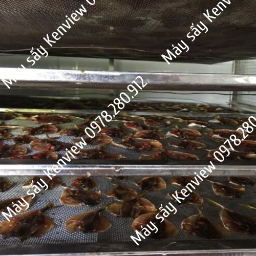 Kenview cung cấp máy sấy hải sản mini- sấy cá khô tại An Giang.0978.280.912