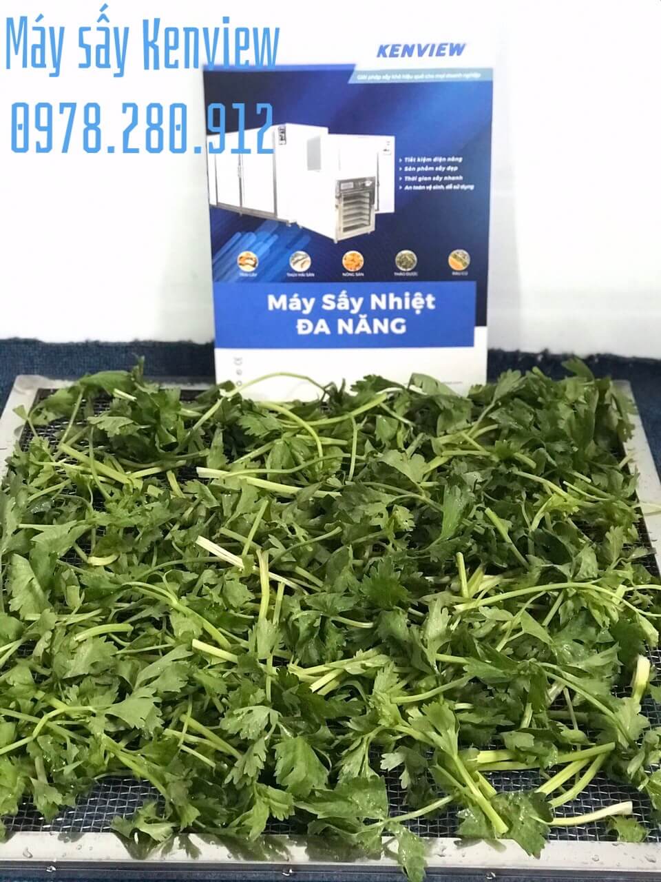 Máy sấy hoa quả Kenview tại Quảng Nam. Sấy tinh bột rau củ giữ màu xanh.