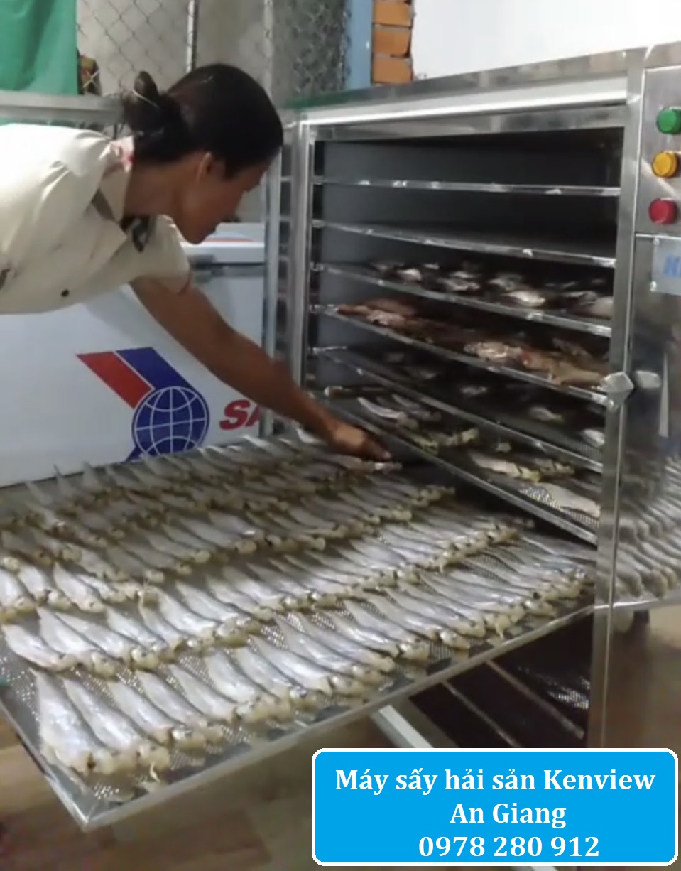 Máy sấy cá khô tại An Giang - Máy sấy hải sản chuyên nghiệp Kenview