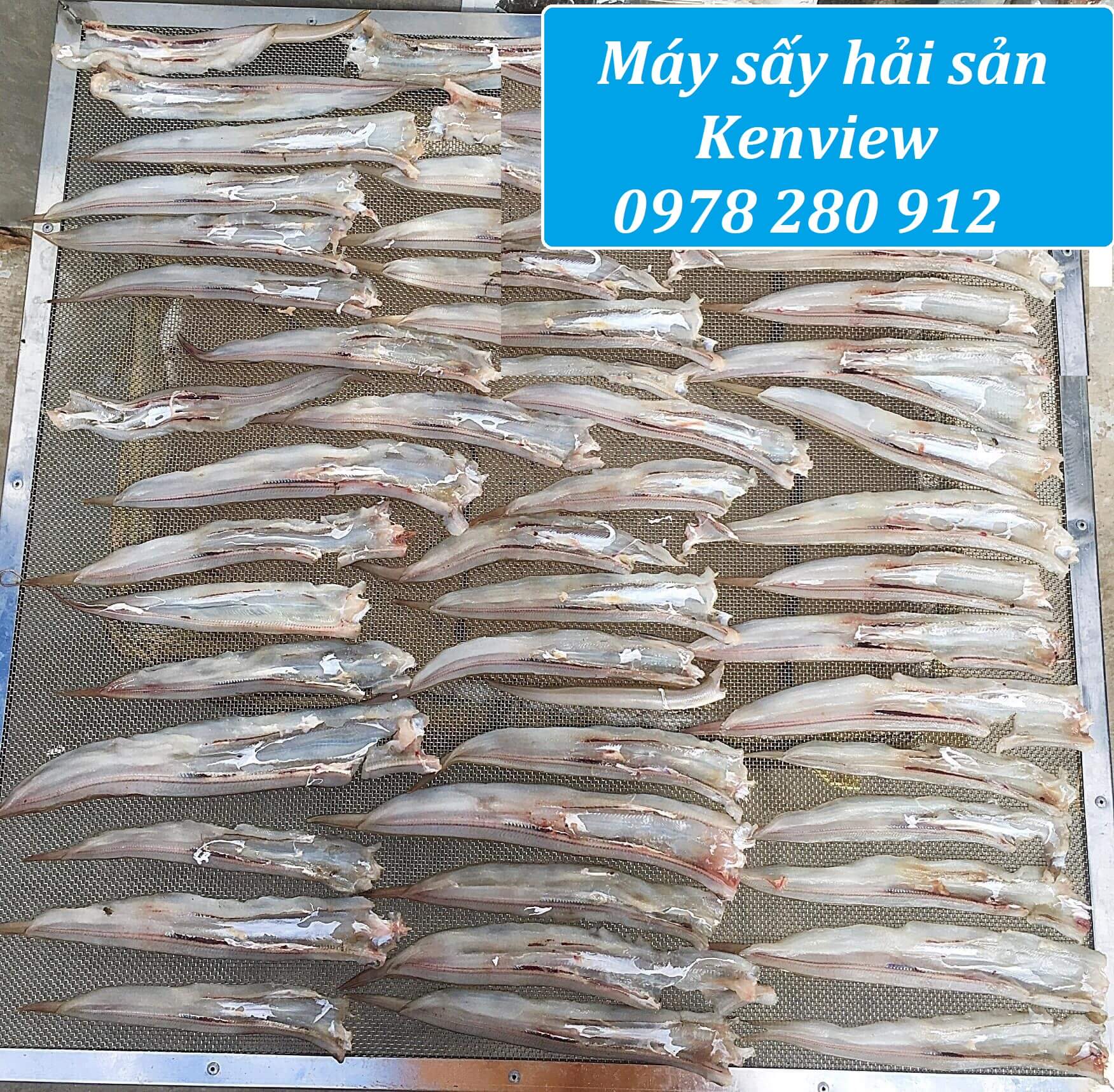 Kenview cung cấp máy sấy cá khô, tôm khô tại Phú Thọ.0978 280 912