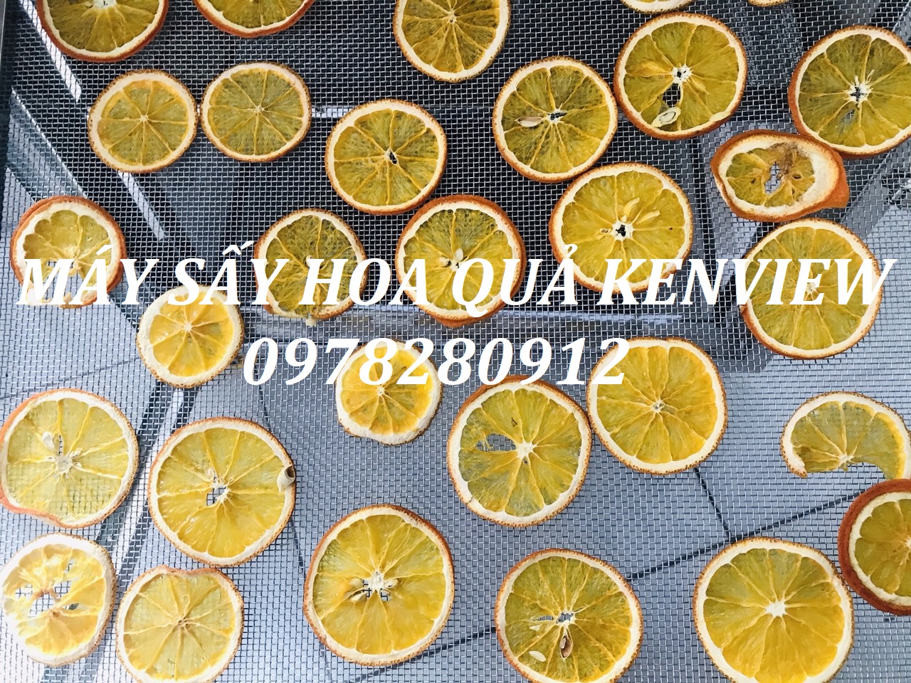 Kenview cung cấp máy sấy hoa quả tại Hải Dương. 0978280912