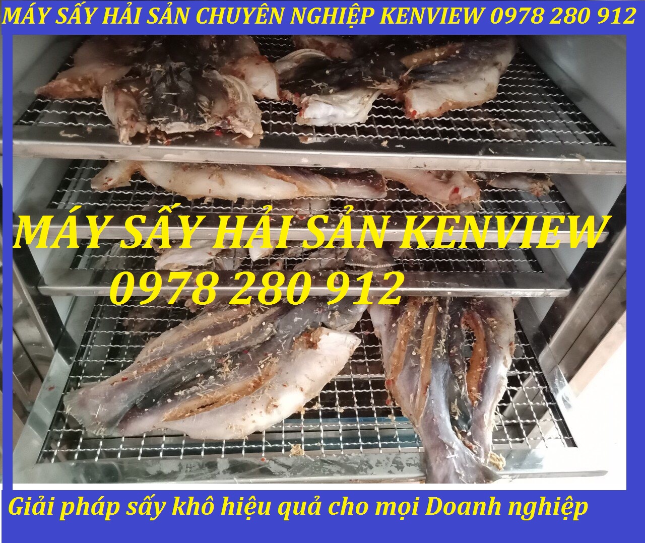 Kenview cung cấp máy sấy cá khô tại Quảng Ninh. 0978 280 912